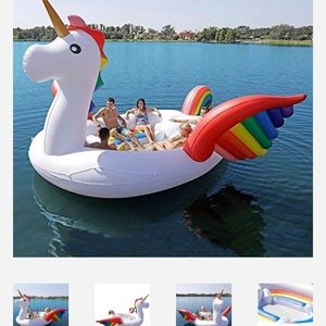 6 person unicorn float